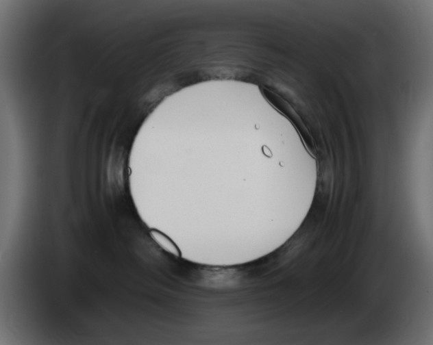 X0000083010334200703021946