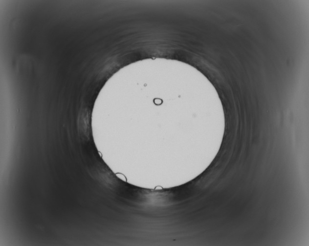 X0000083010336200703021946