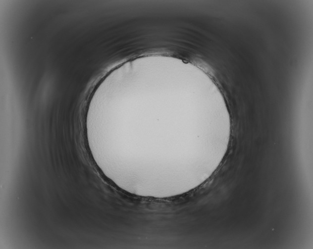 X0000083010337200703021945