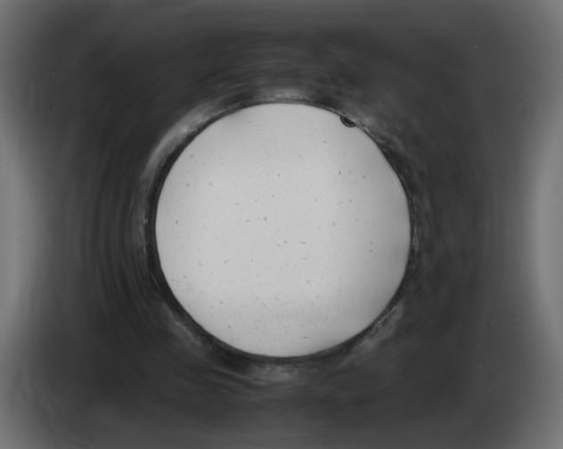 X0000083010341200703021945