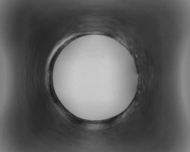 X0000083010342200703021945