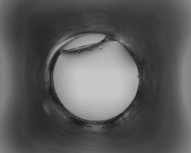 X0000083010343200703021945