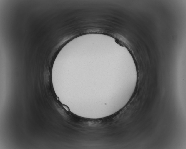 X0000083010345200703021945