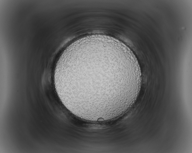 X0000083010347200703021945