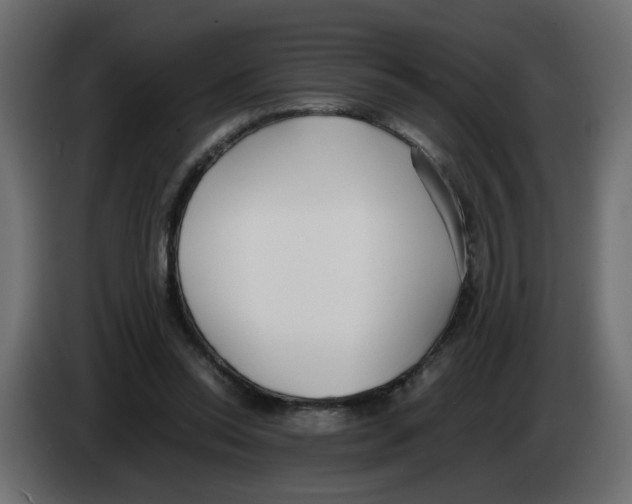 X0000083010350200703021945