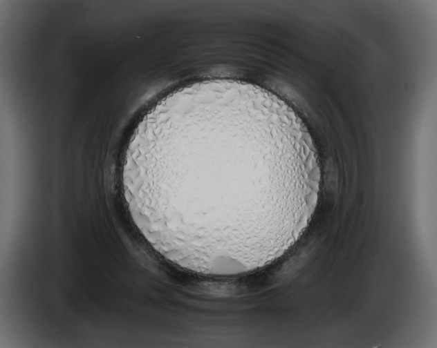 X0000083010351200703021945