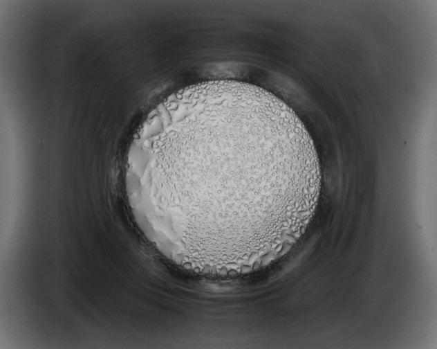 X0000083010359200703021945