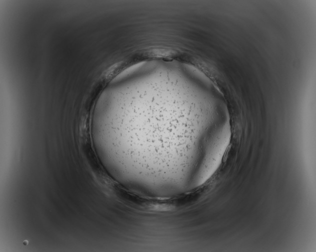 X0000083010360200703021946