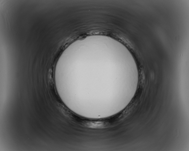 X0000083010361200703021946