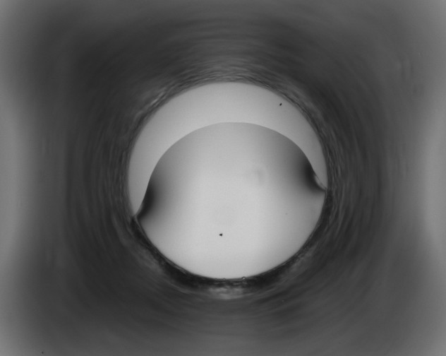 X0000083010362200703021946