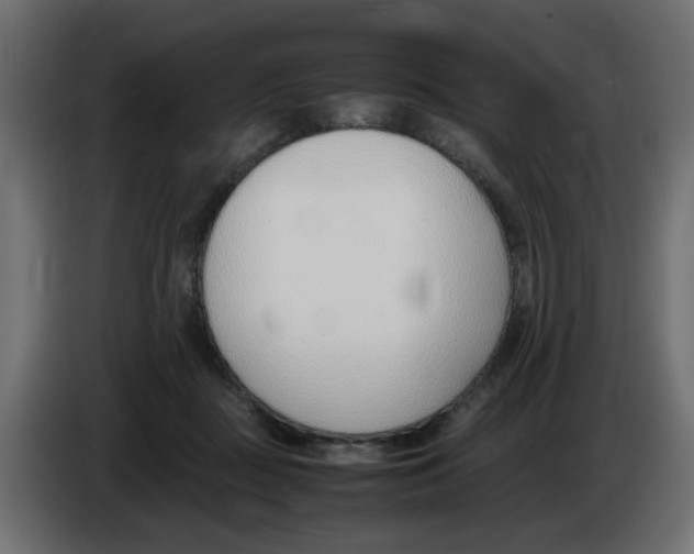 X0000083010363200703021946