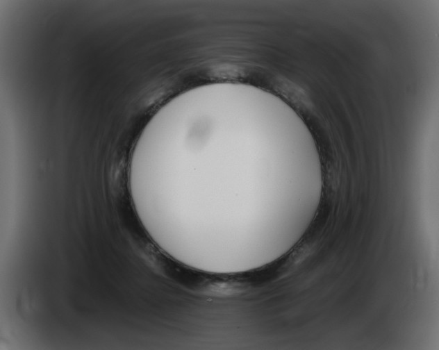 X0000083010364200703021946