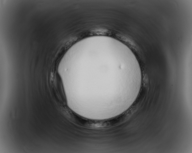 X0000083010365200703021946