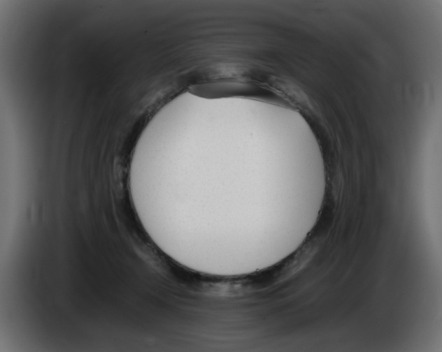 X0000083010366200703021946