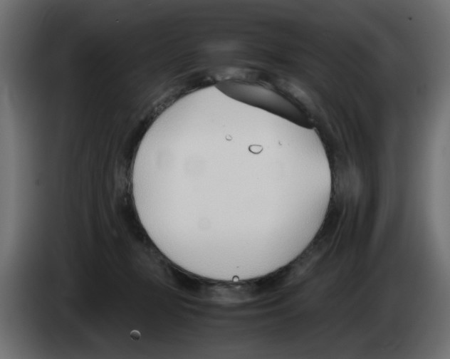 X0000083010367200703021946