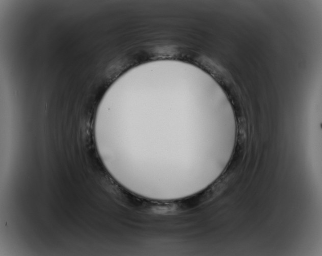 X0000083010369200703021946