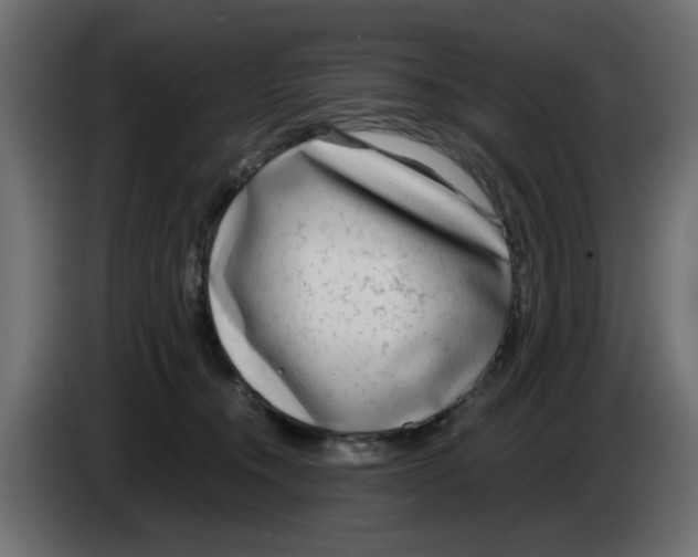 X0000083010372200703021946