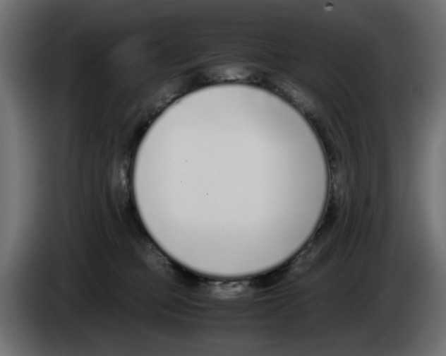 X0000083010373200703021946