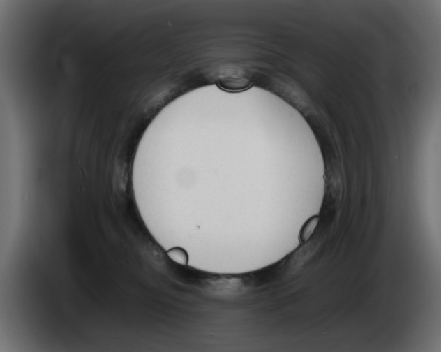 X0000083010374200703021946