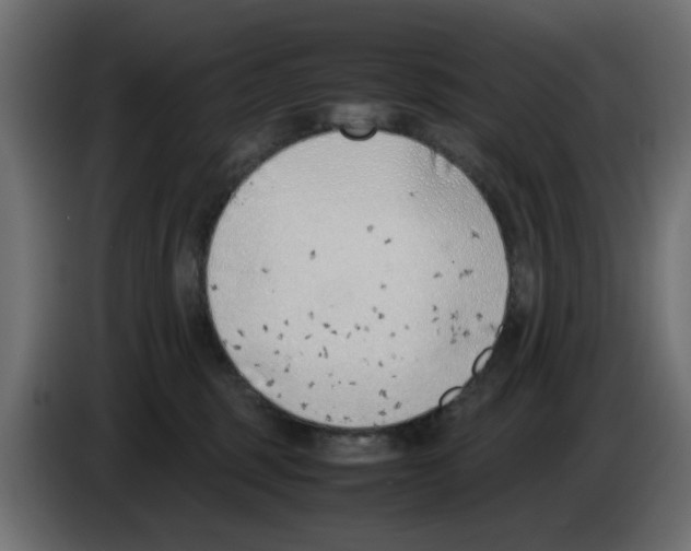 X0000083010375200703021946