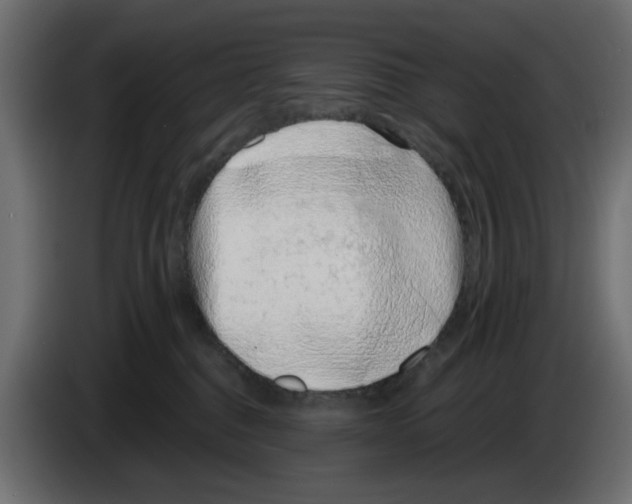 X0000083010376200703021946