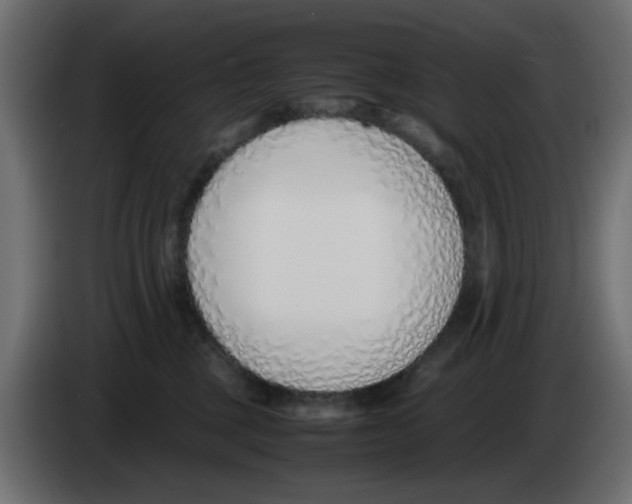 X0000083010377200703021946