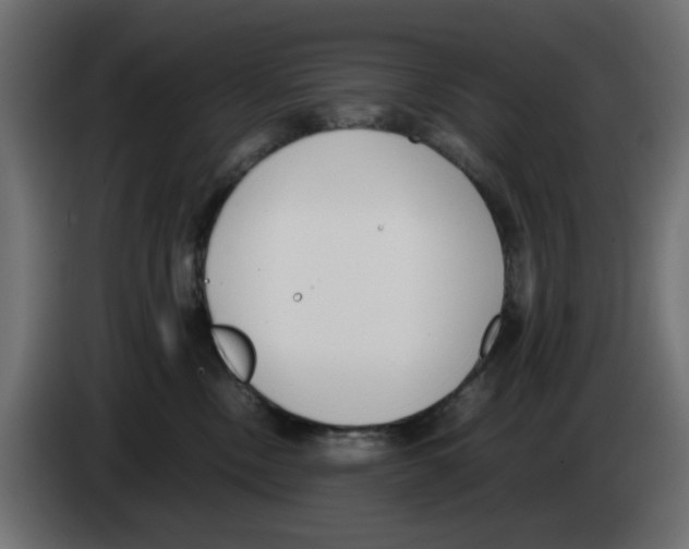 X0000083010378200703021946