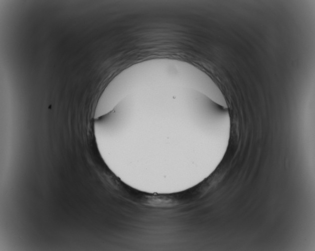 X0000083010380200703021946