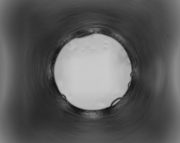 X0000083010381200703021946