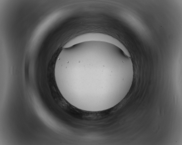 X0000083010383200703021946