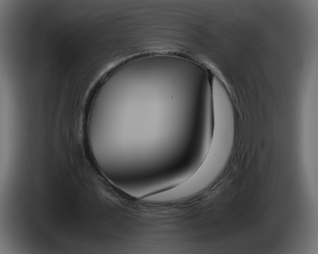 X0000083010387200703021945