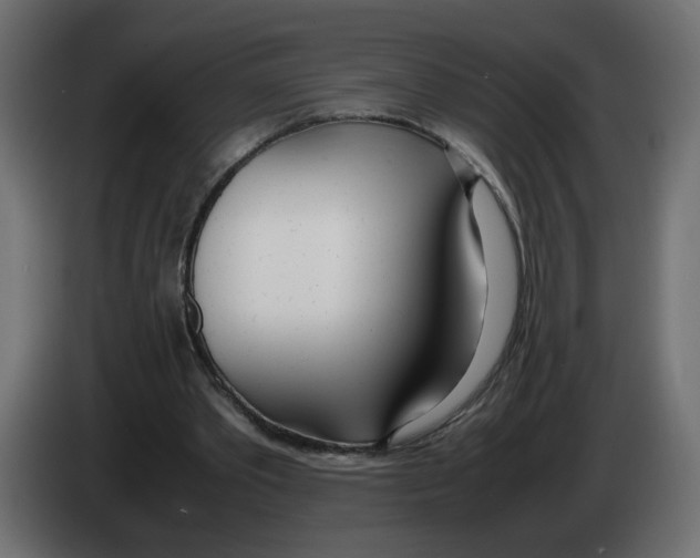 X0000083010389200703021945