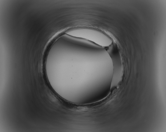 X0000083010391200703021945