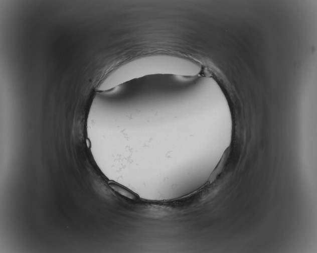 X0000083010393200703021945