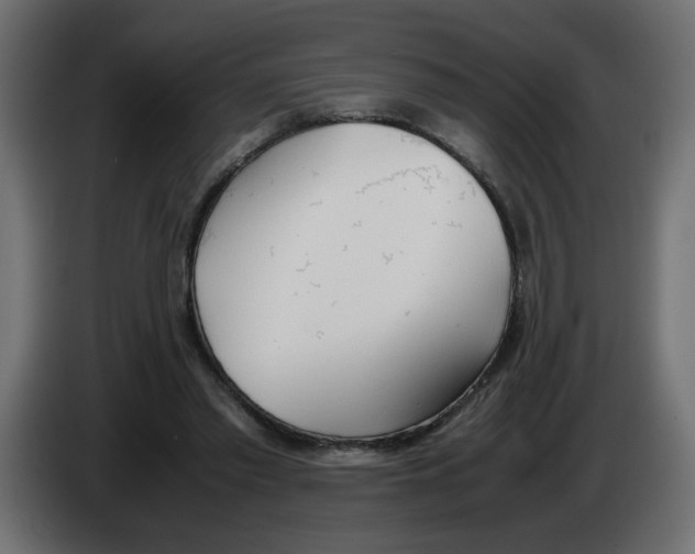 X0000083010397200703021945