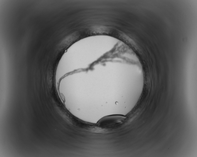 X0000083010402200703021945