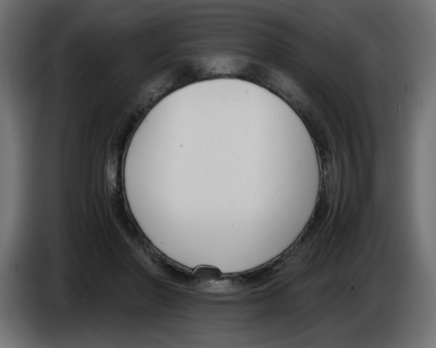 X0000083010406200703021945