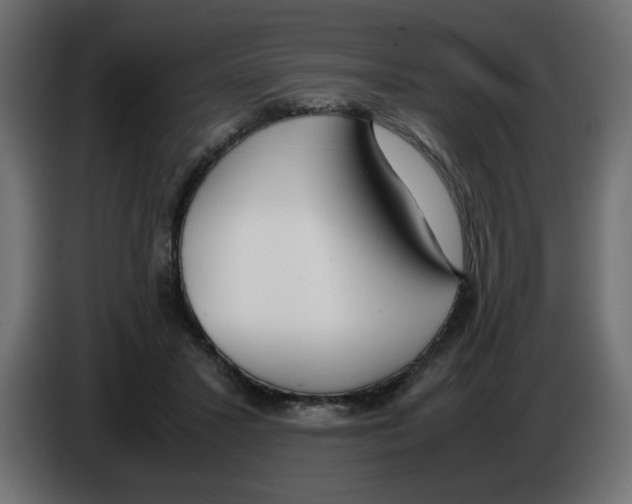 X0000083010407200703021945