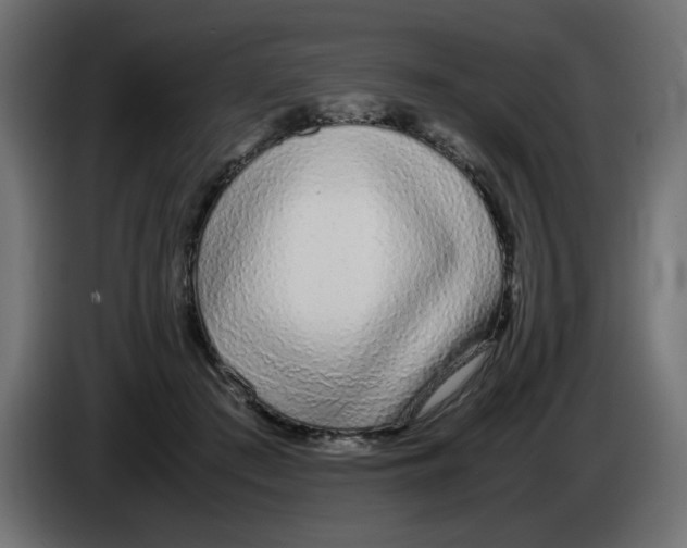 X0000083010409200703021945