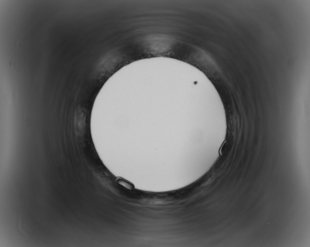 X0000083010412200703021945