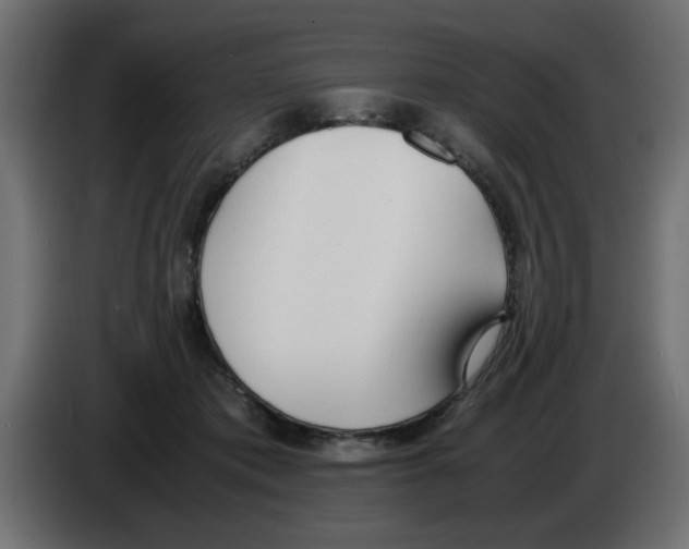 X0000083010413200703021945