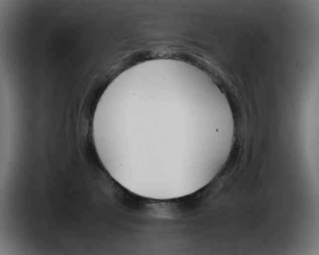 X0000083010417200703021945