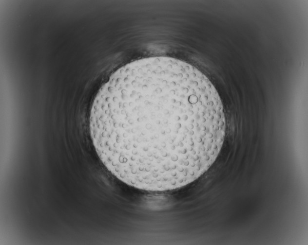 X0000083010418200703021945