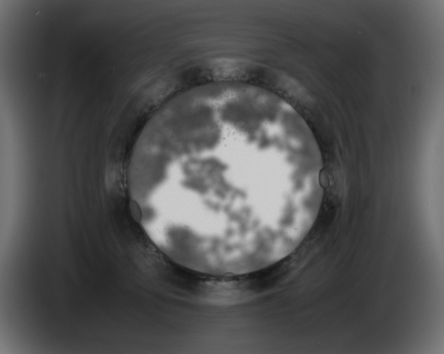 X0000083010419200703021945