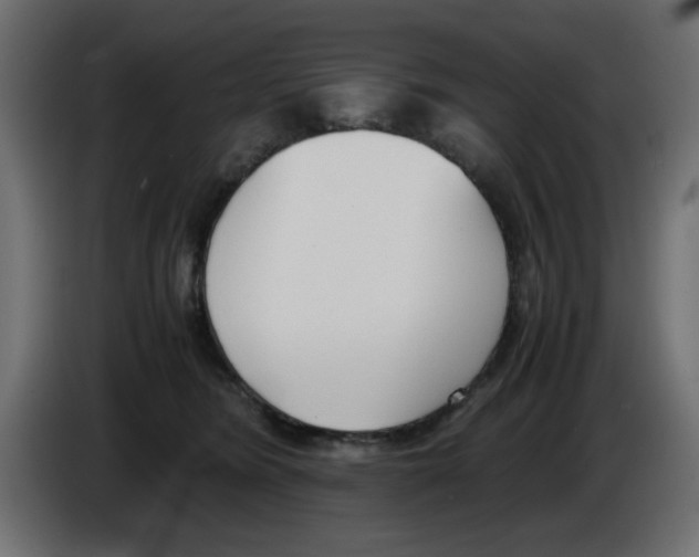 X0000083010420200703021945