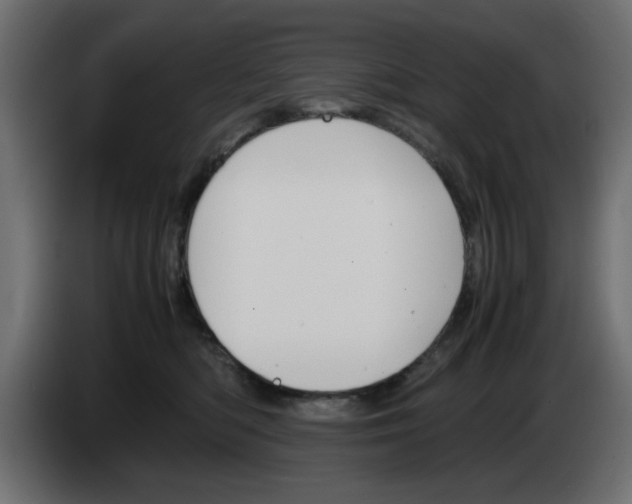 X0000083010422200703021945