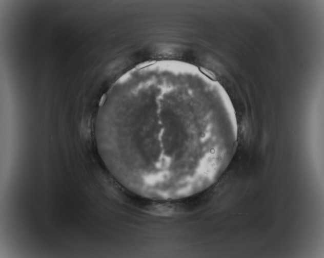 X0000083010423200703021945