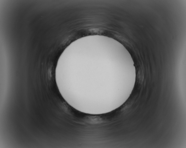 X0000083010424200703021945