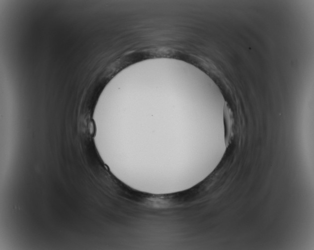 X0000083010425200703021945