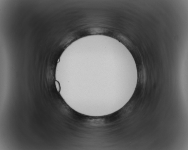 X0000083010426200703021945